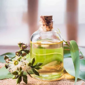 Eucalyptus oil