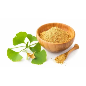 Ginkgo biloba extract