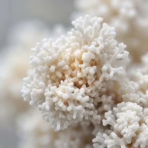 Glucoamylase